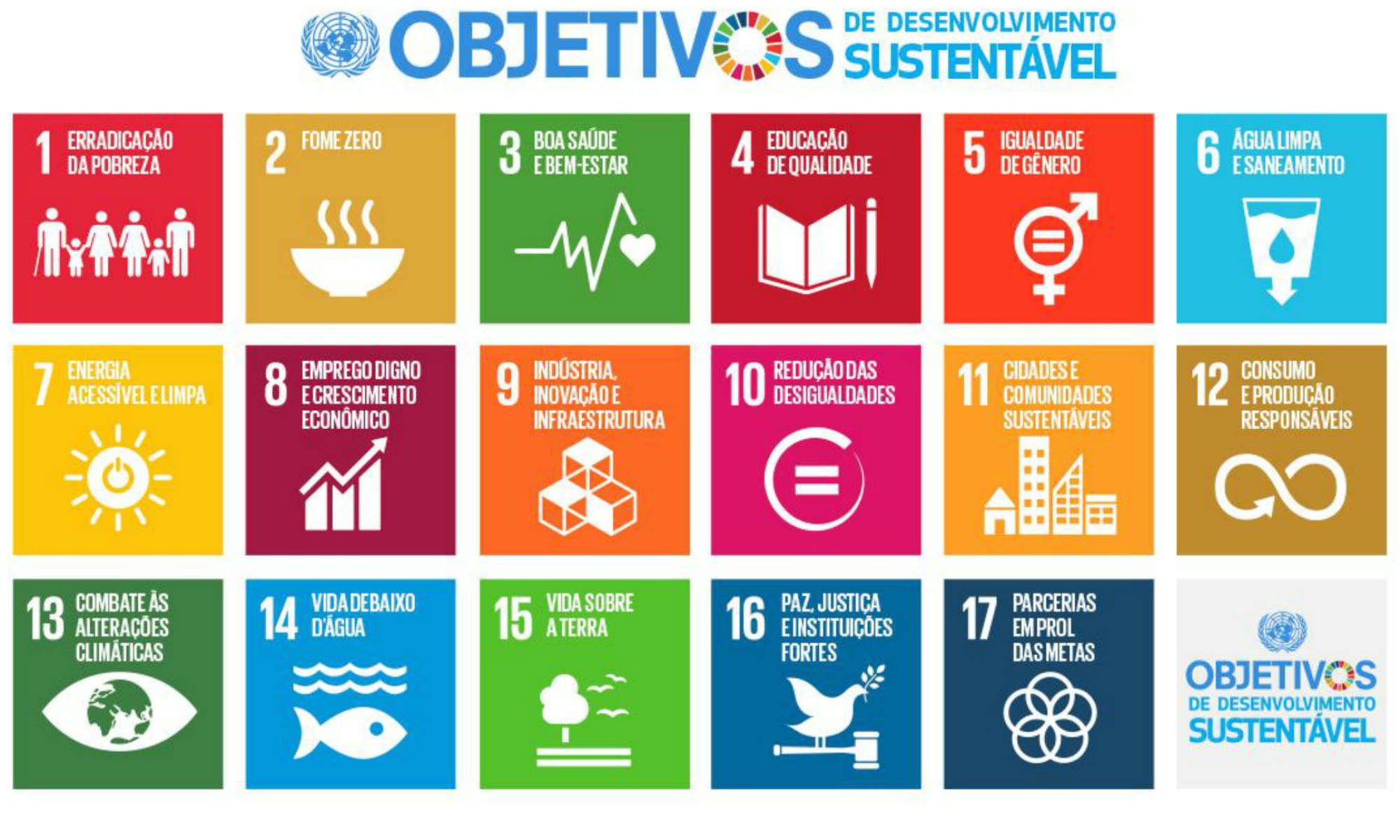 olacefs-objetivos