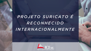Projeto Suricato