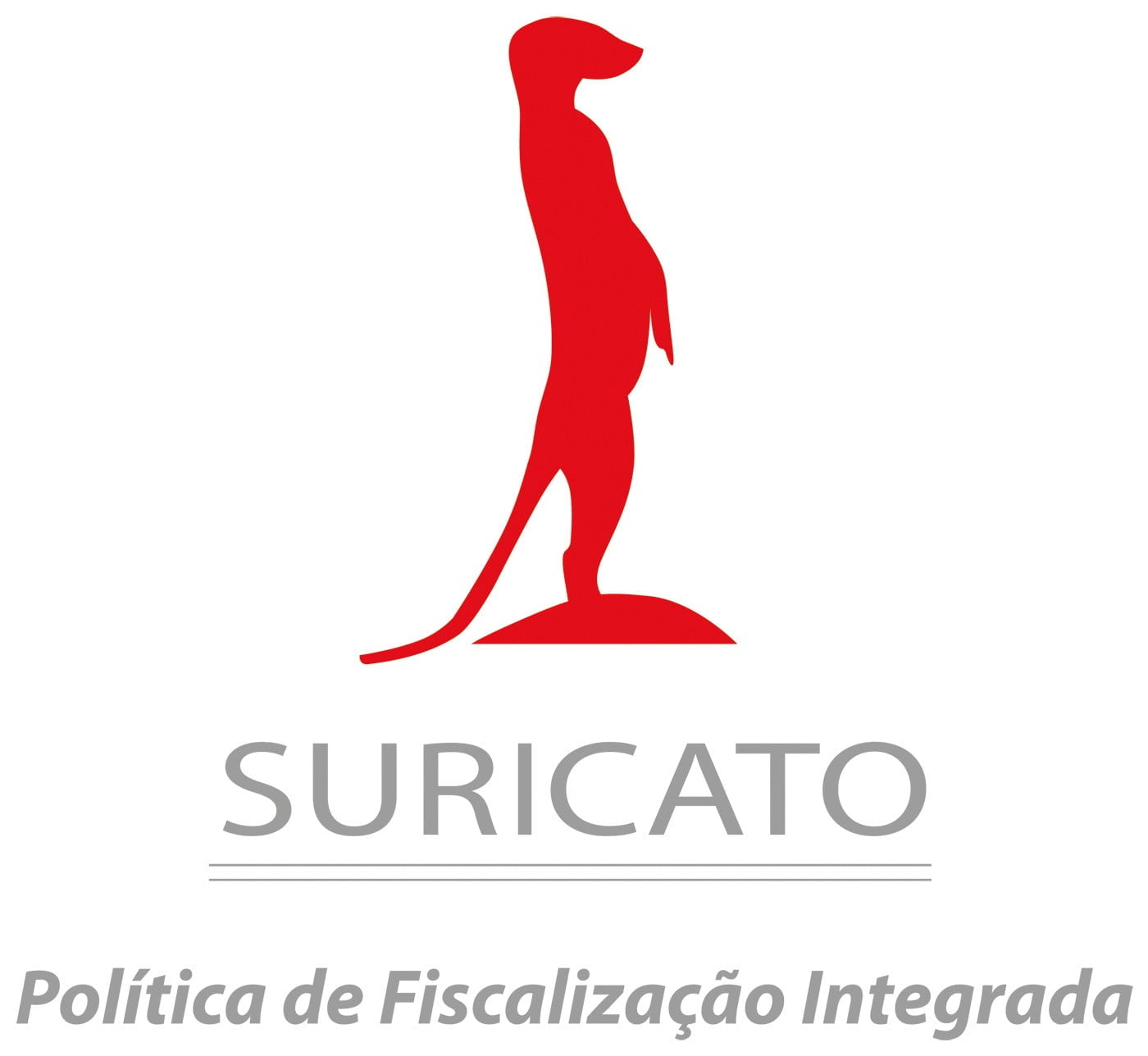 Suricato