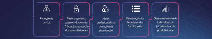 Sistema de Fiscalização