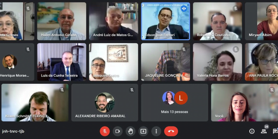 reunião_CT_Primeira_Infância_IRB