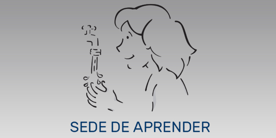 sede_de_aprender_IRB
