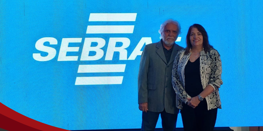 capa_sebrae_guia