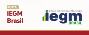 5 - IEGM